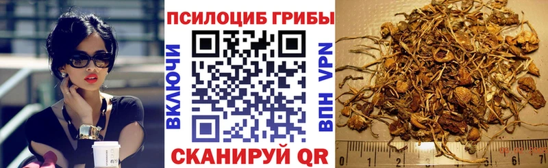 наркотики  Невинномысск  Псилоцибиновые грибы Magic Shrooms 